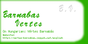 barnabas vertes business card