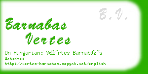 barnabas vertes business card